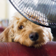 Image for article titled Tips For Keeping Your Energy Bills Down
